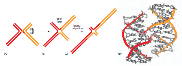 Figure 5-55.png